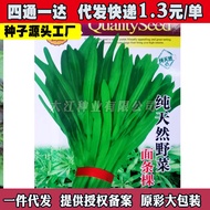 Wild Noodles Vegetable Seeds Daquan Autumn Winter Four Seasons Noodles Vegetable Seeds Characteristi