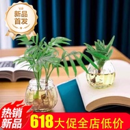 T Small Vase European Creative Simple Hydroponic Green Dill Plant Transparent Glass Bottle Fresh Dec