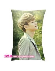 Nature Republic [ EXO 雙面 抱枕套 (金鐘大) ] ＜韓格舖＞ Chen 自然樂園 IVY Club 十二月的奇&#36857; EXO-K EXO-M