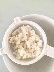 奶克菲爾菌種約20g | milk kefir grains 20g