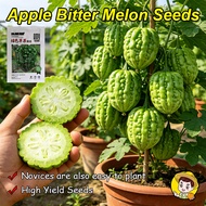 100% Authentic Round Green Bitter Gourd Seeds for Planting Vegetables Fresh Low Bitter Green Apple B