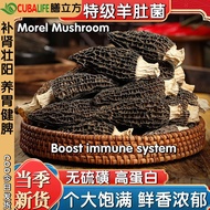 5A特级羊肚菌 100g Dried Morel Mushroom 无硫磺 Cendawan Morel Kering 天然 羊肚菌菇 牛肚菌 Whole Morel Mushroom 羊肚菌干 pr