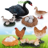 USNOW Life Cycle Figures Science Gifts Hen Cock Miniature Poultry Growth Cycle Cycle Duck Figurine
