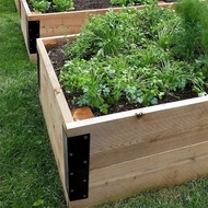 Set of 4 Raised Garden Bed Corner Brackets with Wood Screws for 20Inch-24Inch Bed for Vegetable Plan