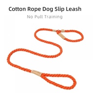 Doglemi Slip Dog Leash Dog Leash Slip Lead Cesar Milan