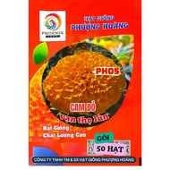 Dwarf Thai Marigold Flower PH05 Red Orange Phoenix Seeds