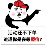 Authentic THE NORTH FACE Pure Original Us Version North 1996 Down Cotton-padded Jacket 700 Canopy Wi