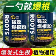 Becosion Powerful Root Powder Root Powder Root King Root Liquid Fast Cutting Plant Universal High Pu