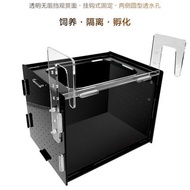 Fish Breeding Box, Acrylic Fish Isolation Box Aquarium Acclimation Hatchery Incubator for Baby Fishe