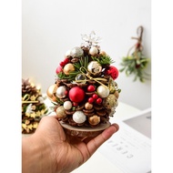Hiasan Krismas Nuoqi Kon Pine Asli Desktop Pokok Krismas Mini Hiasan Kecil Hiasan Krismas