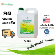 จุลินทรีย์ลดแมลงวัน ไล่แมลงวัน ทดแทน น้ำยากำจัดแมลงวัน ใช้แทน ยาฆ่าแมลงวัน จุลินทรีย์กำจัดแมลงวัน คล