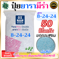 ปุ๋ยยารามีร่า ดับเบิล 8-24-24 เม็ดสีฟ้าอ่อน 50 กิโลกรัม ยกกระสอบ เป็นปุ๋ยคอมปาวด์ ทำให้พืชเจริญเติบโ