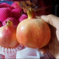 buah delima merah manis per/buah