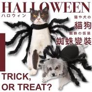 其他品牌 - 搞怪COSPLAY！萬聖節寵物蜘蛛變裝｜中小型貓狗通用 胸頸尺寸可調節 魔術貼設計｜小狗犬貓咪家居外出出街散步用 可愛搗蛋驚嚇恐怖模擬毛絨仿蜘蛛衣服 慶祝派對裝扮玩具 狗衫褲 服飾 寵物