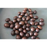 Biji Pala / Biji Pala Kering / Nutmeg / Biji Pala Original /Pala 1 kg
