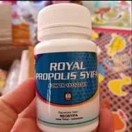 Royal Propolis Syifa Nasa Cheap Nasa Royal Jelly Nasa Body Power Health