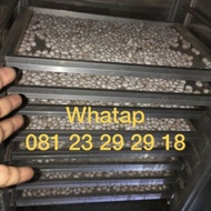 Telur Burung Walet Asli berkualitas / jual telur walet / telur walet