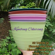 (1pc) SS TAWON 25 (25cm): wasp-shaped flower pot, beautiful pot