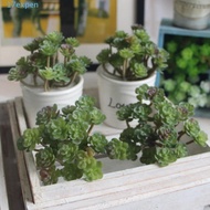 EXPEN Mini Artificial Cactus Plant, Real Touch Plastic Artificial Succulent Plant, Simulation Cactus