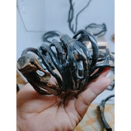 LIVE BLACK BEACH ROOT BRACELET COMBONG 2