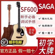 Saga Saga Guitar Saga SF600 Beginner Beginner Introductory Acoustic Acoustic Guitar Flagship SAGApdd