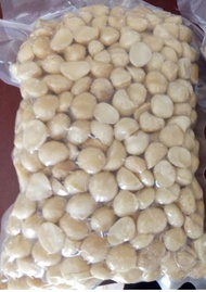 1 kg-500 gr Nhân hạt macca đã tách vỏ hàng vụ mới nhân hạt macca gồm nhân nguyên và nhân vỡ