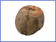 ✿ ◺ ● COD BUNOT / BUNOT / COCONUT HUSK