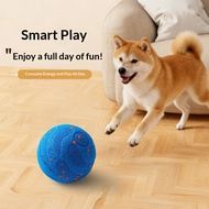 Safe, non-toxic rubber play ball for dogs—tough, wear-resistant chew toy; ideal for interactive game