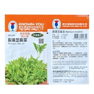 Known You Special Vegetable Seeds Wild Arugula Baby Leaf SB-085 S4 GDSFPH_S4