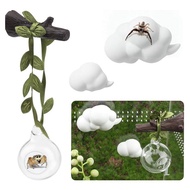 4pcs Jumping Spider Hide Glass Ball Habitat Cloud Platform Ledges Jumping Spider for Decorating Jump