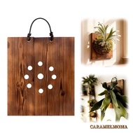 CARAMELOMA Staghorn Fern Mounting Board, Hanging Perforated Board Staghorn Fern Board,  Wood Wall Mo