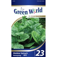 23 MALABAR SPINACH BAYAM