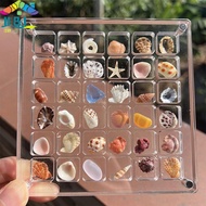 [H&L Dec] Acrylic Magnetic Seashell Display Box Seashell Clear Starfish Trinket Organizers 36/64/100