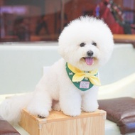 【Downy Bichon】拼色三角寵物圍兜 | Mobi Wardrobe