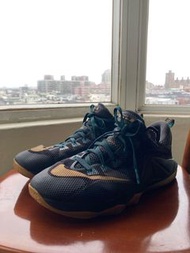 Nike Earned LeBron James 23 (US13大尺碼籃球鞋)