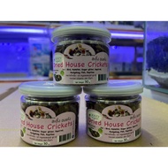 Keridik Cangkerik Cengkerik Tin Dried House Crickets 30gm