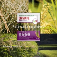 DENSO CIPMAPE NUTRITION FERTILIZER FOR RICE GRAINS 17-17