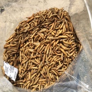 Maggot BSF Kering/Larva BSF Kering 5 kg Pakan Ikan Premium Kualitas A+