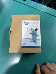Wooderful life Ocean Tour 木製萬年曆 海豚擺設