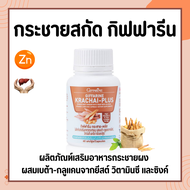 กระชายขาว กิฟฟารีน กระชาย พลัส Giffarine Krachai-Plus ผลิตภัณฑ์เสริมอาหารกระชายผง ผสมเบต้า-กลูแคนจากยีสต์ วิตามินซี และ ซิงก์