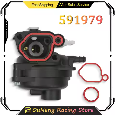 For Briggs-Stratton 799583 593261 595656 591979 591160 300E 450E 500E 550EX 125cc 140cc 4.5HP Lawn M