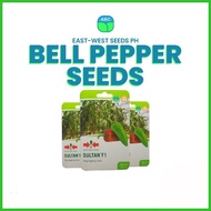 ✠  ▧ Ⅴ ⚑ Bell pepper Seeds Sultan F1  100 seeds