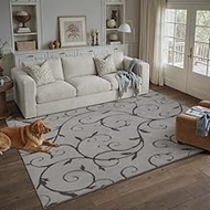 Gray Shag Rug 5x8 for Living Room, Super Soft Modern Area Rug Washable Fluffy Rugs Indoor Fuzzy Carp