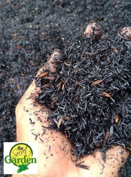 CARBONIZED RICE HULL (5 KGS) - PLEASE SEPERATE ORDER WITH PLANTS. PURE AND READY TO USE FOR PLANTS F