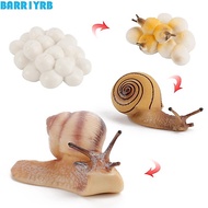 BARR1YRB Snail Growth Cycle Kids Toys Growth Cycle Ornaments Insect Plastic Realistic Science Childr