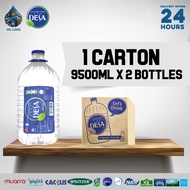 DESA Mineral Water (9500ml x 2 Bottles x 1 Carton)