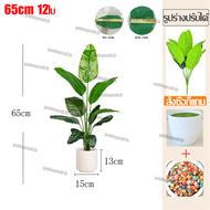 🌴ความจำลอง 99%🌴 ต้นไม้มงคลปลอม 60/85/95cm ฟรีกระถางดอกไม้ต้นไม้+หินตกแต่ง สไตล์นอร์ดิก ในบ้าน ต้นไม้