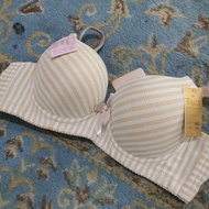 Latest Bra Tally Cup C 6631 Fast Delivery