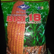 BENIH JAGUNG HIBRIDA BISI 18 ISI 1KG JAGUNG BISI18 BIBIT JAGUNG