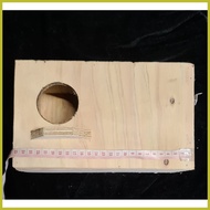 ▖ ◲ ☁ LARGE SIZE BIRD BOX HOUSE FOR AFRICAN LOVE BIRDS